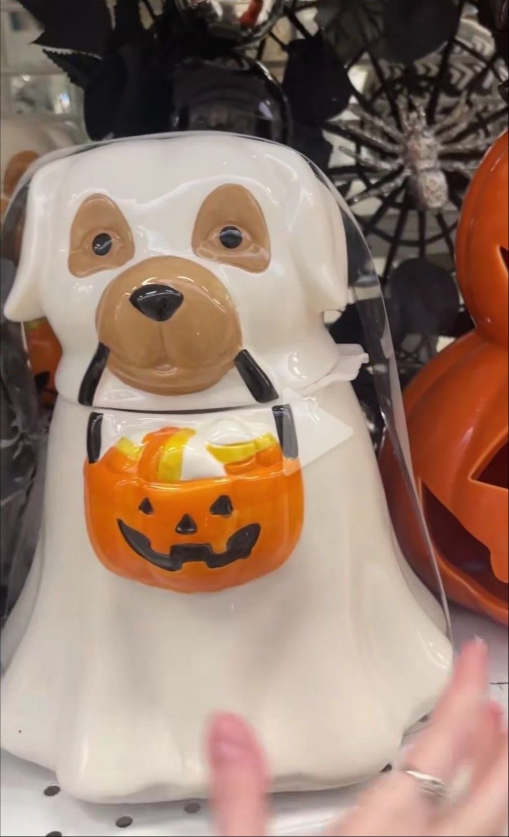 Dog-Ghost Cannister