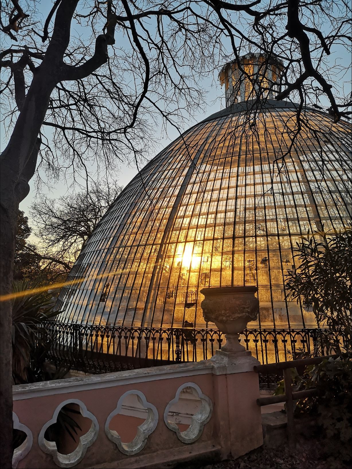 Tapada das Necessidades - Park