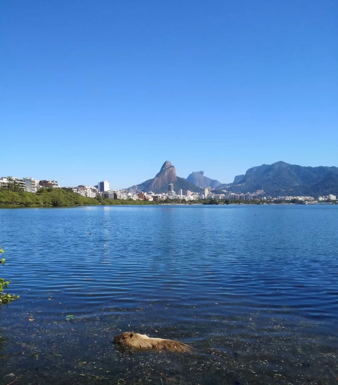 Lagoa Rodrigo de Freitas