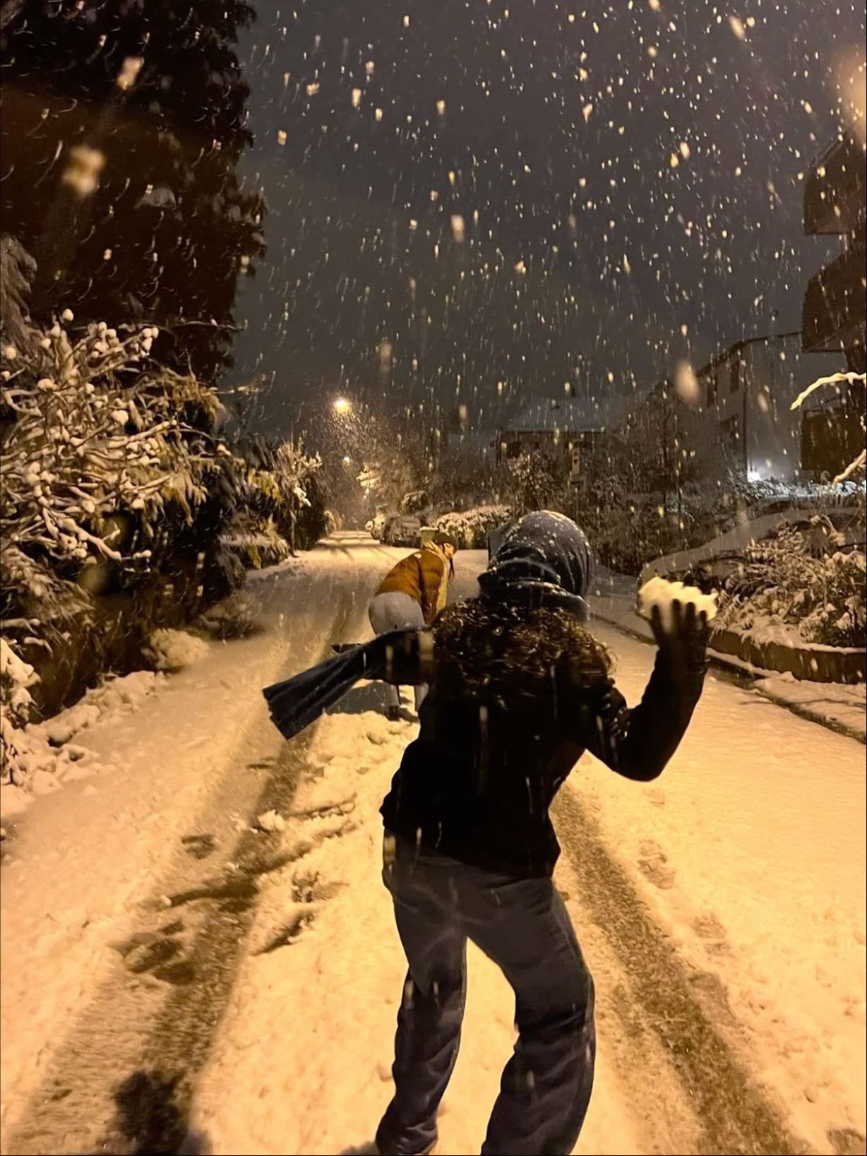 Have a Snowball Fight