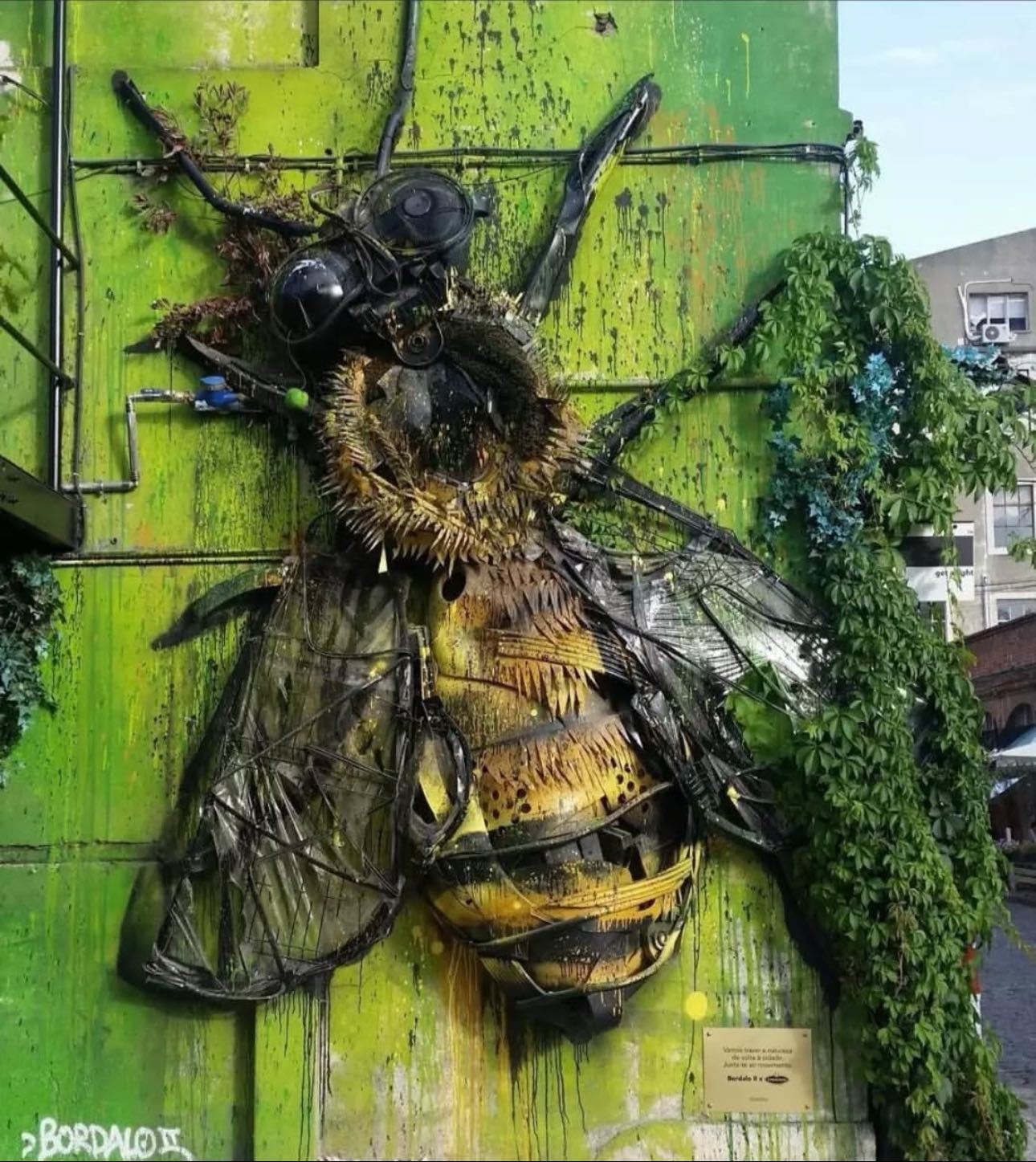 Bumblebee @ Alcântara