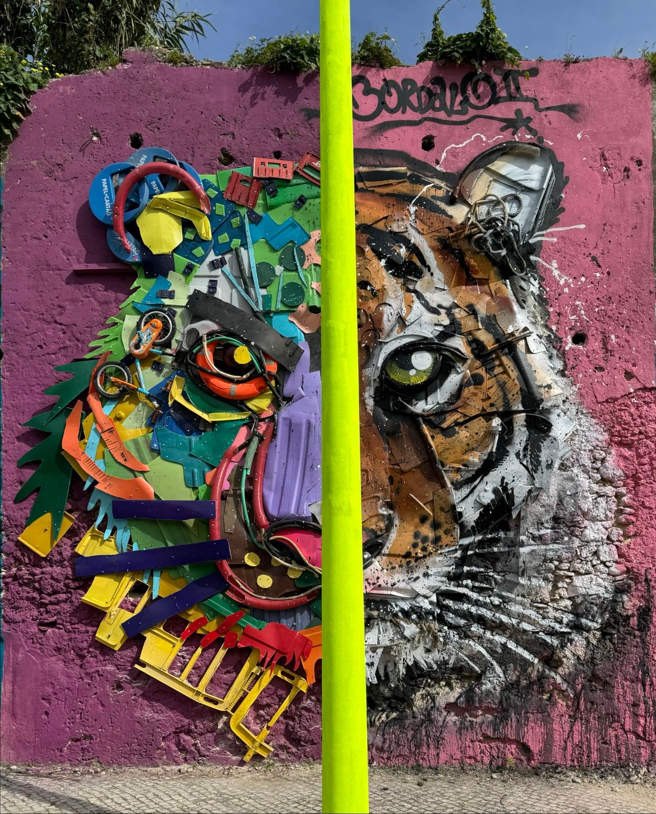 Tiger @ Xabregas