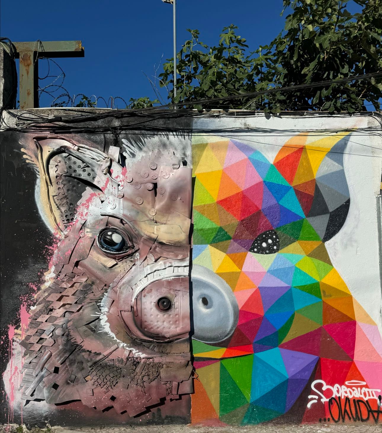 Piggy @ Xabregas