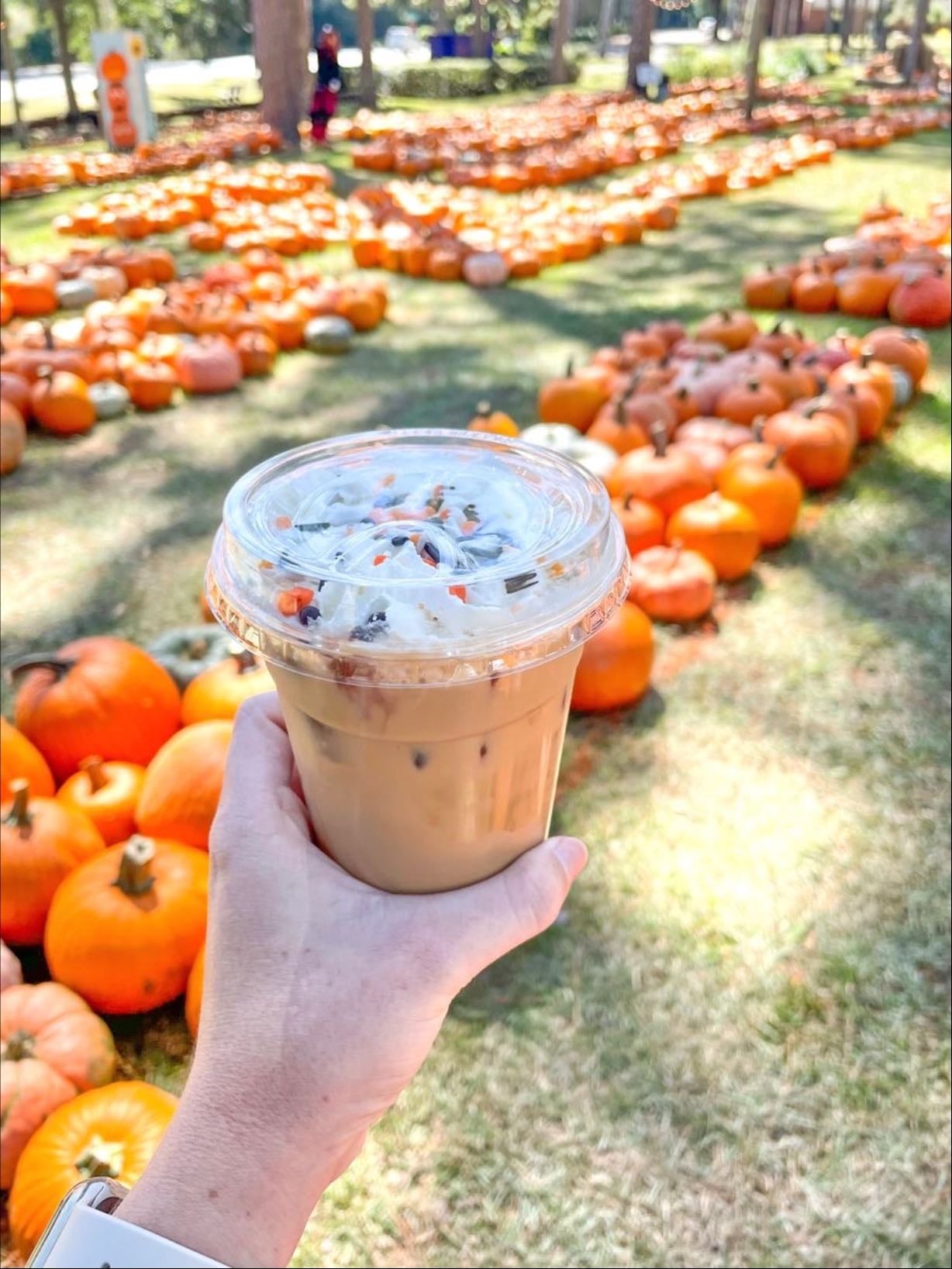 Grab a Pumpkin Spice Latte