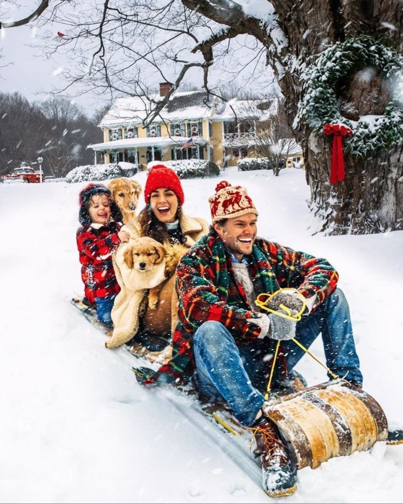 Go on a Sleigh Ride