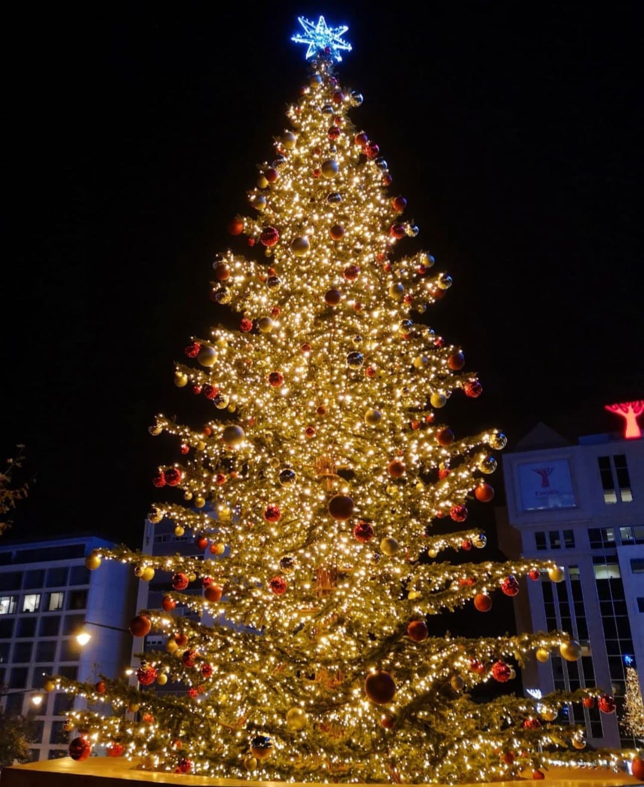 Outdoor Christmas Tree Hunt across town - Terreiro do Paço / El Corte Inglês