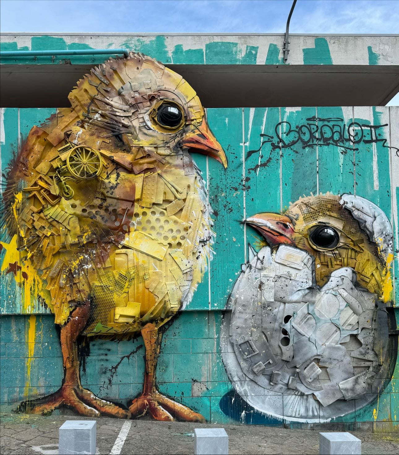Chicks @ Campolide