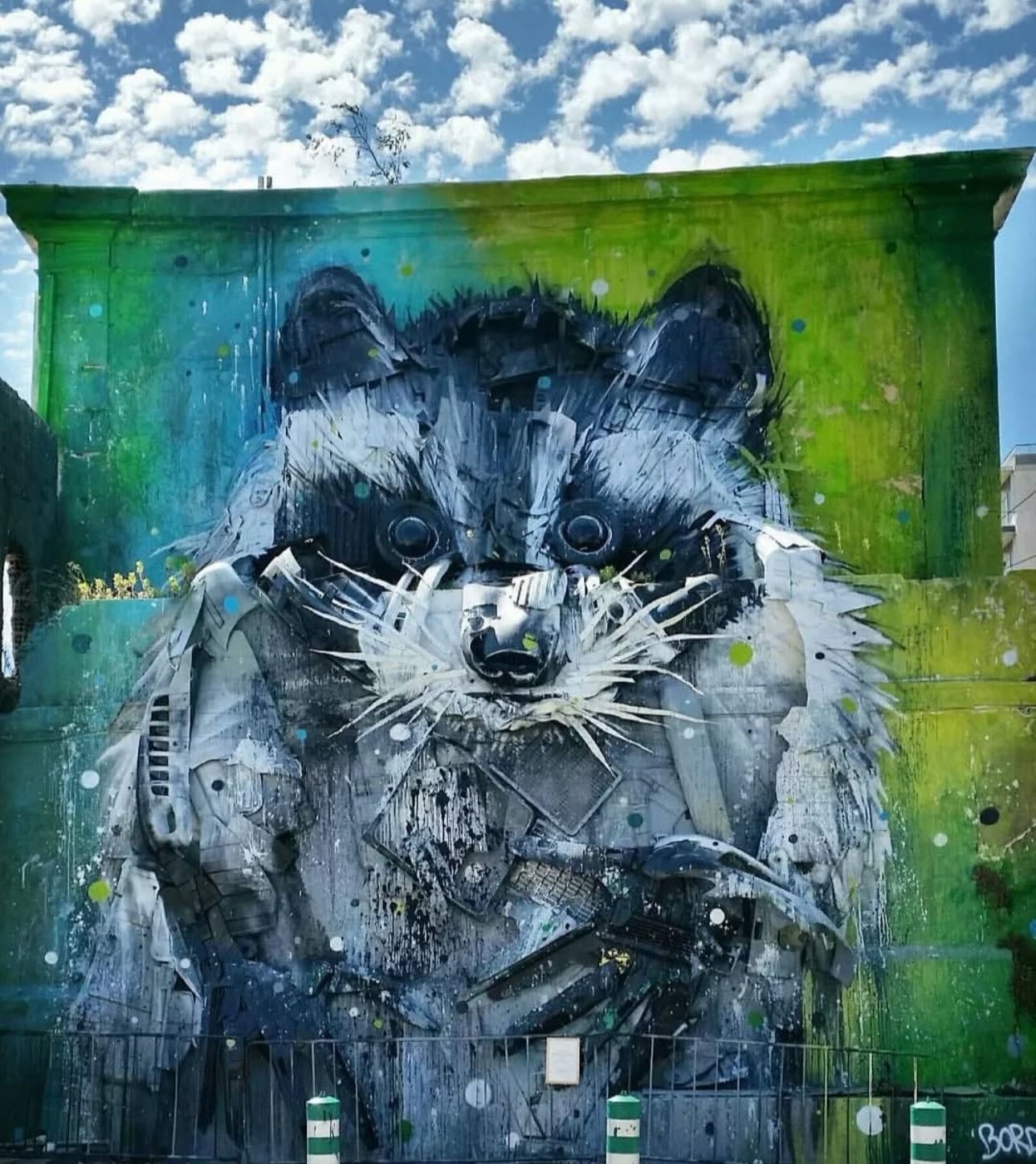 Big Racoon @ Belém - Taken down