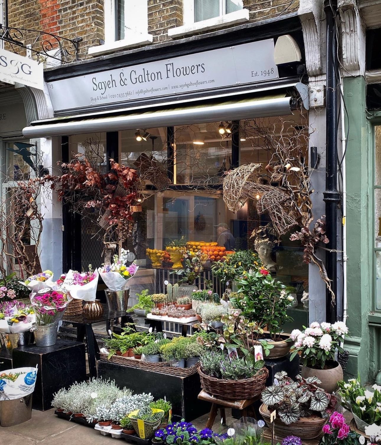 Galton Flowers