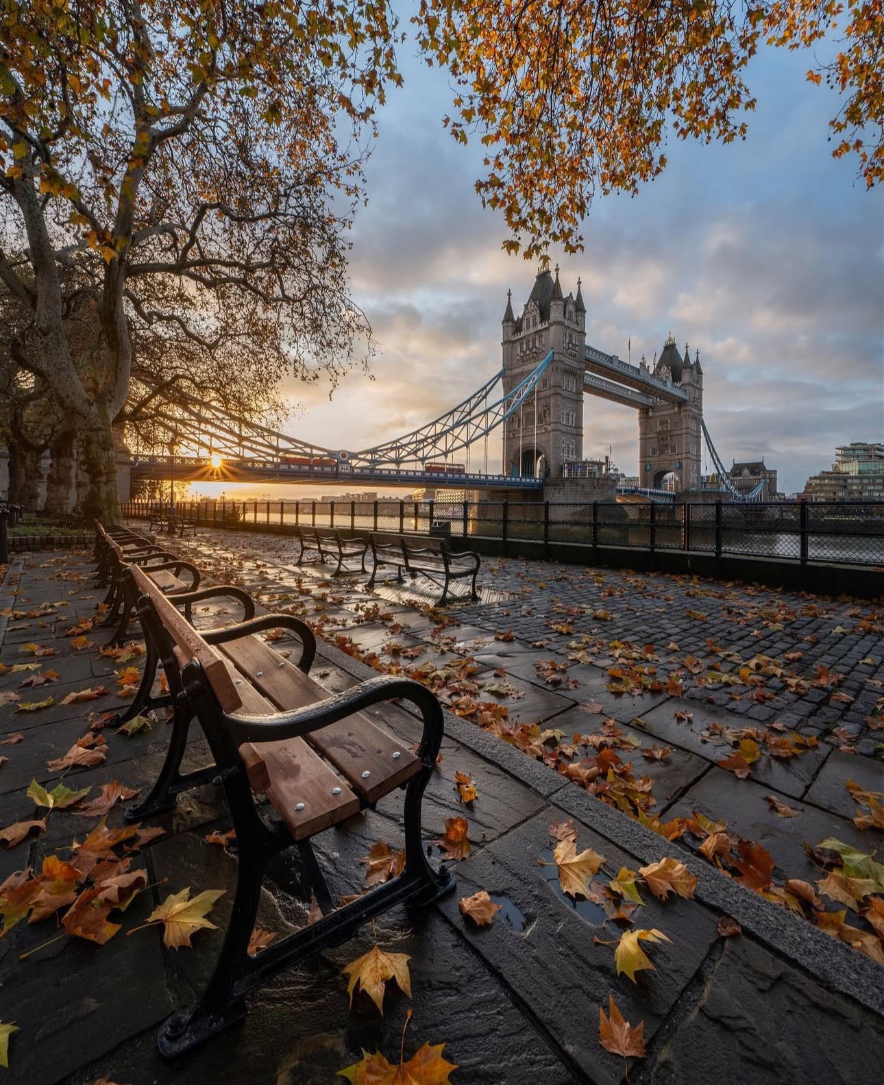 Tower Bridge - Bridge