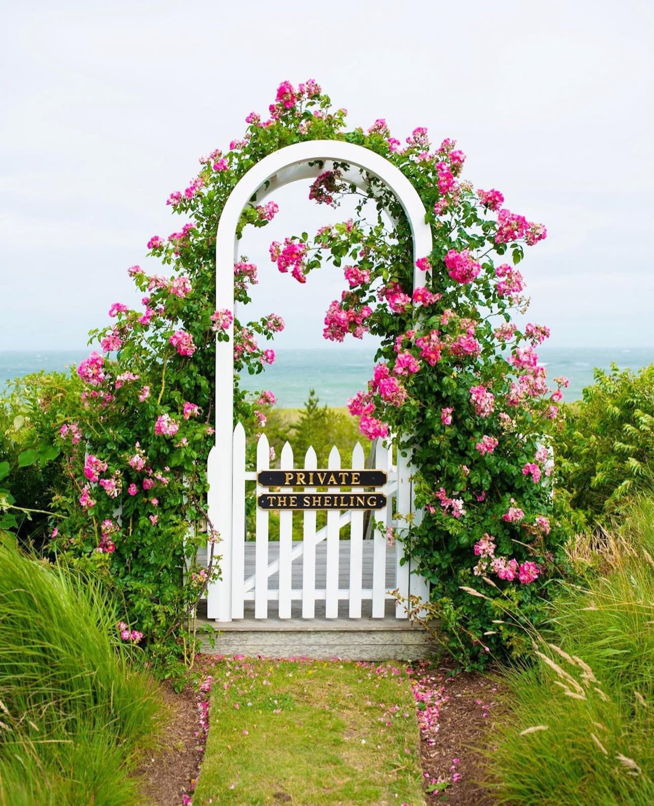 Rose Gate