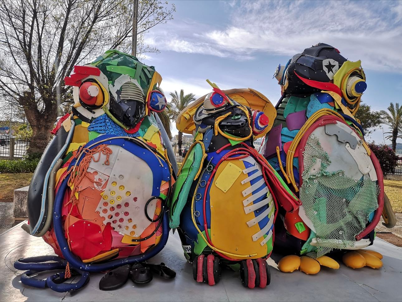 Penguins @ Algés