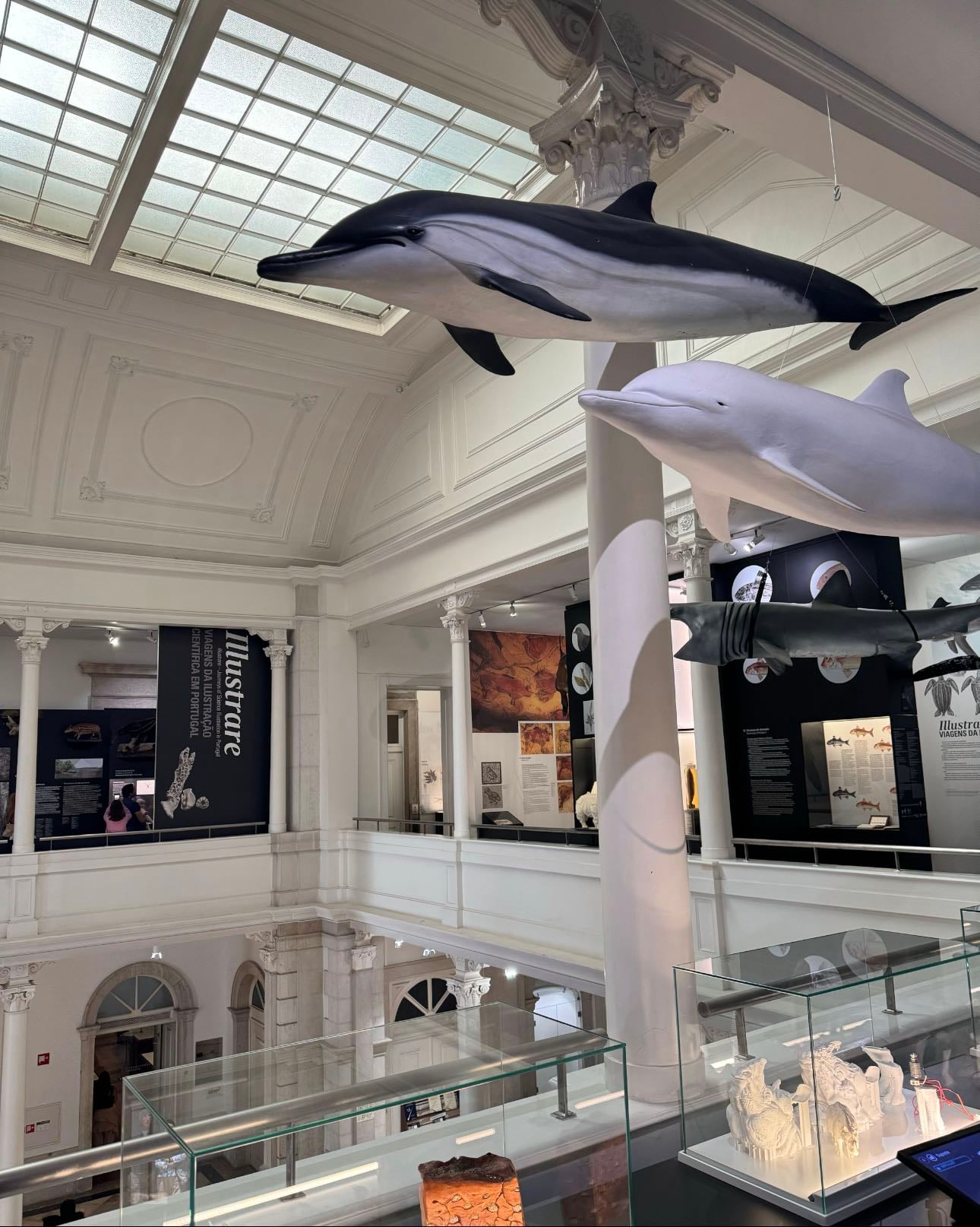 Museu Nacional de História Natural e da Ciência @ Príncipe Real - 2024