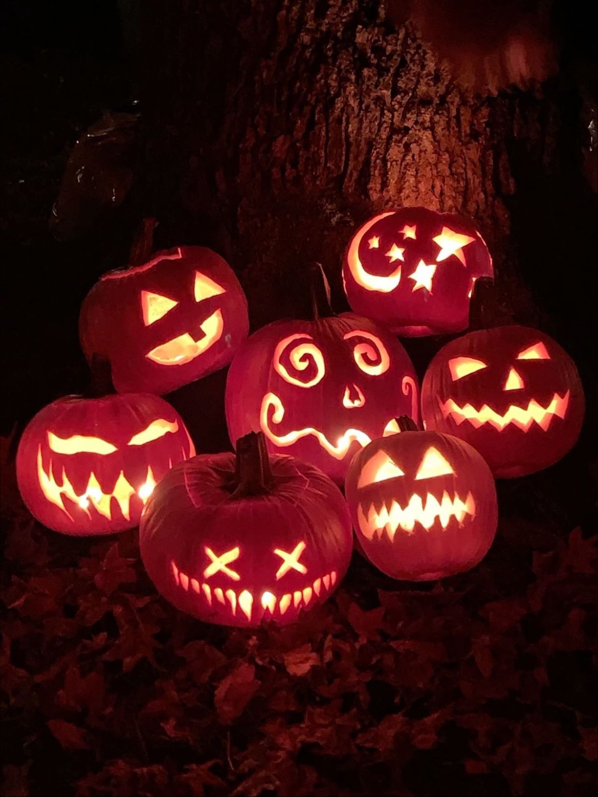 Carve a Jack-o-Lantern
