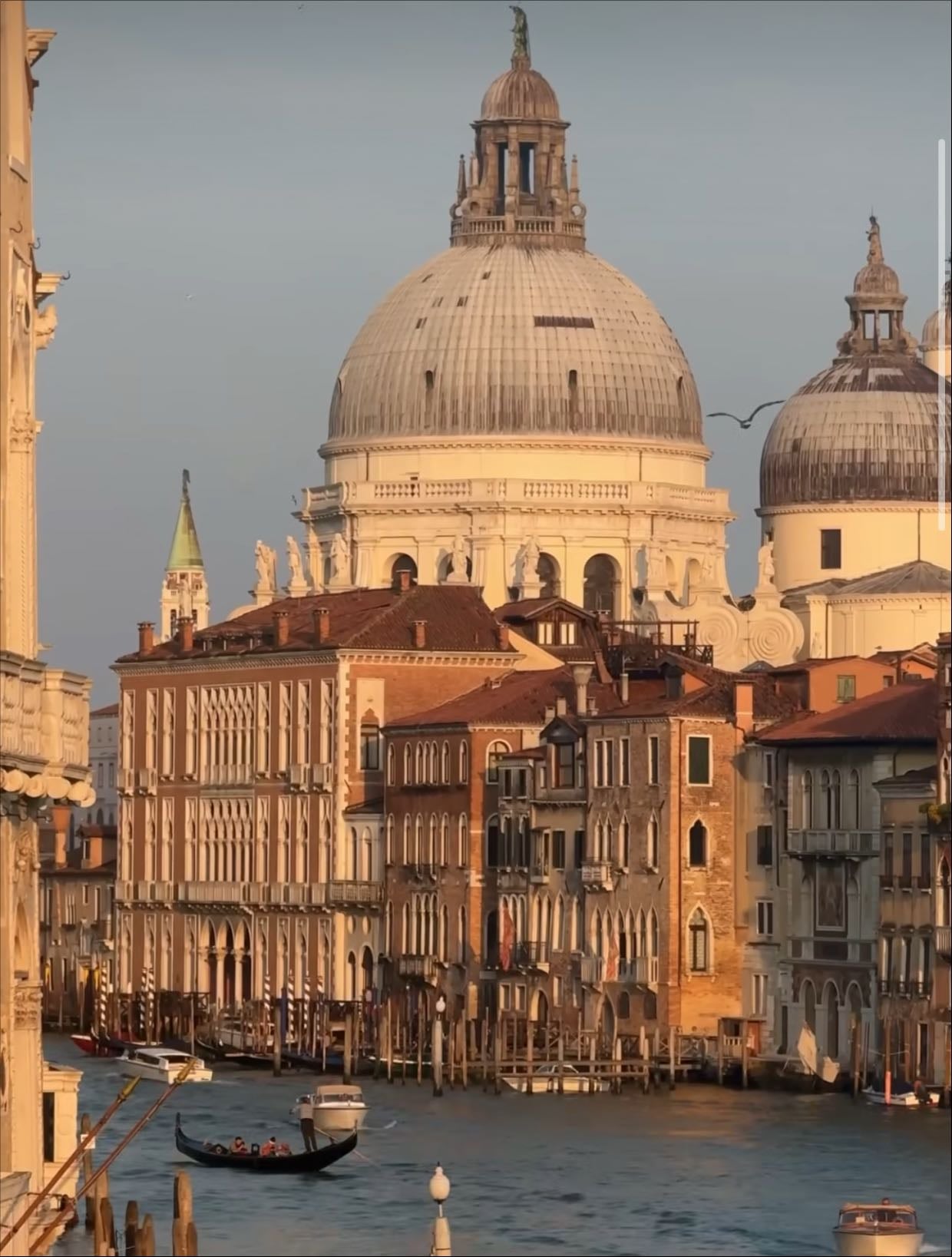 Basilica di Santa Maria della Salute - Church