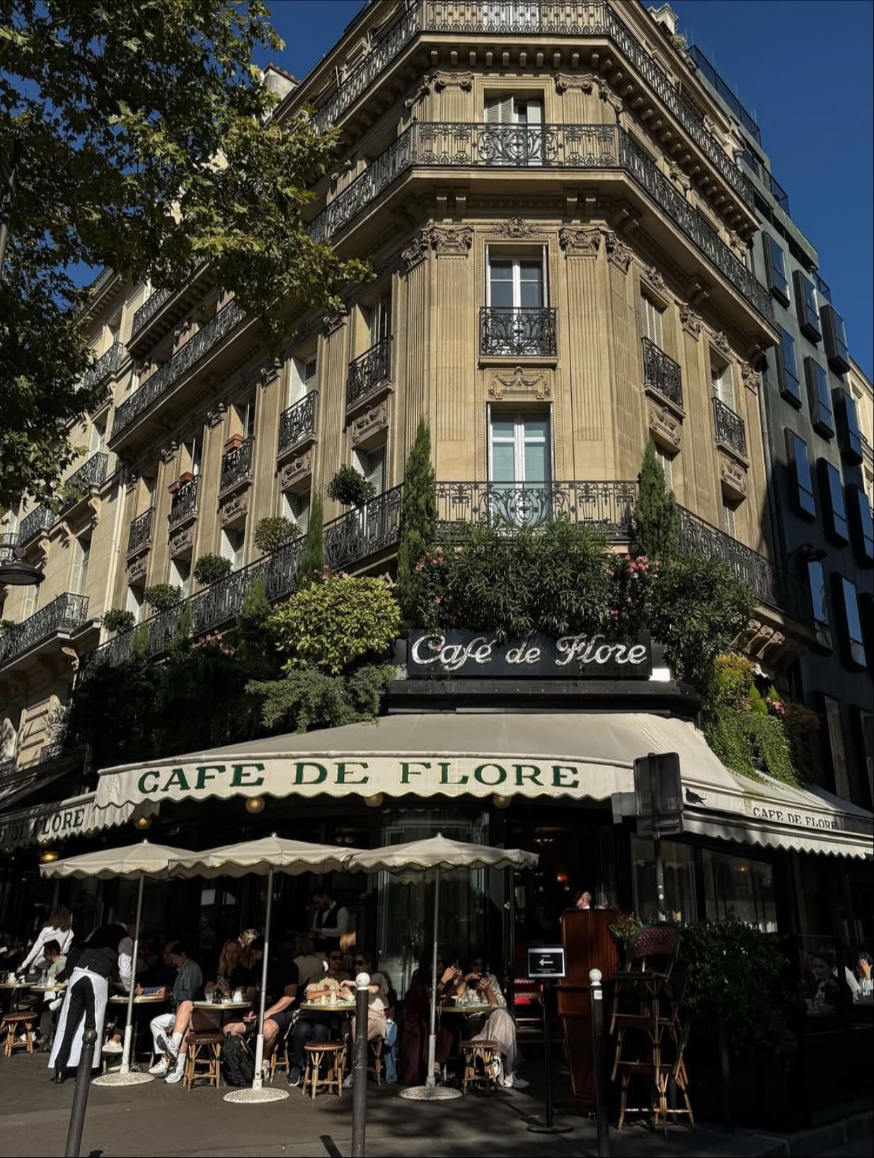 Café de Flore @ 6th - Restaurant