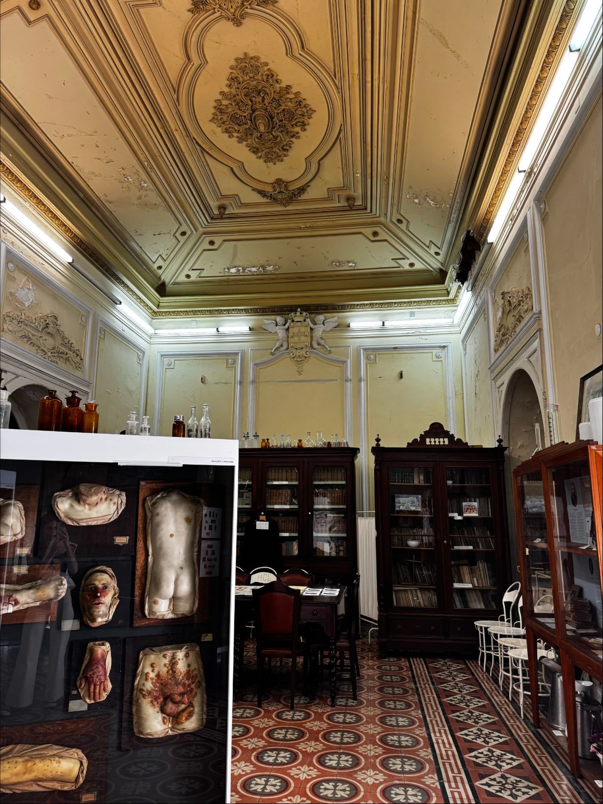 Museu da Dermatologia Portuguesa @ Pena - 2025