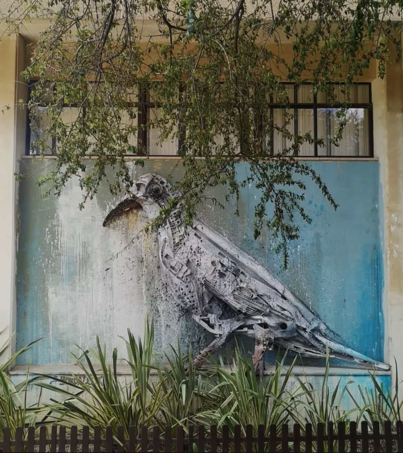 Dove @ Cidade Universitária