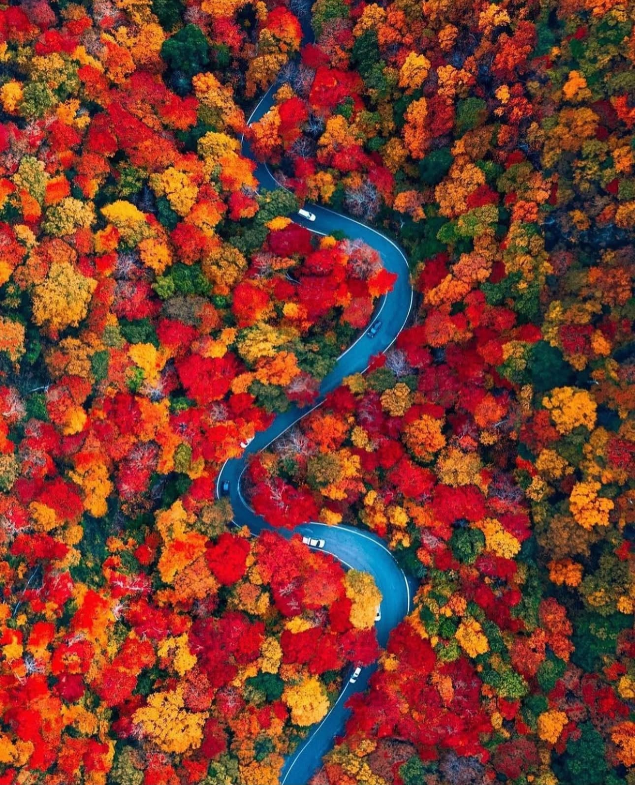 Smugglers Notch - Fall foliage drive