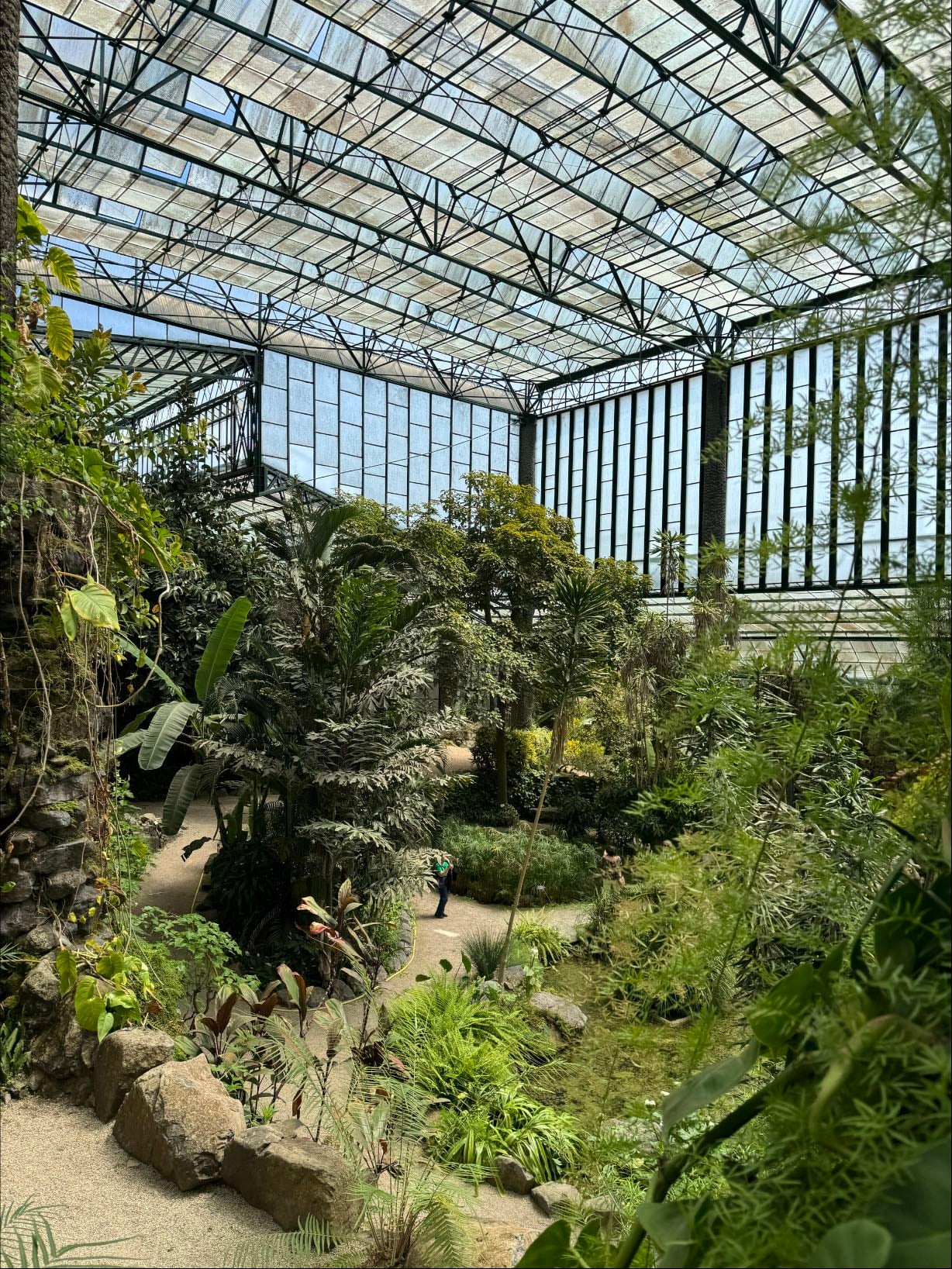Estufa Fria - Greenhouse