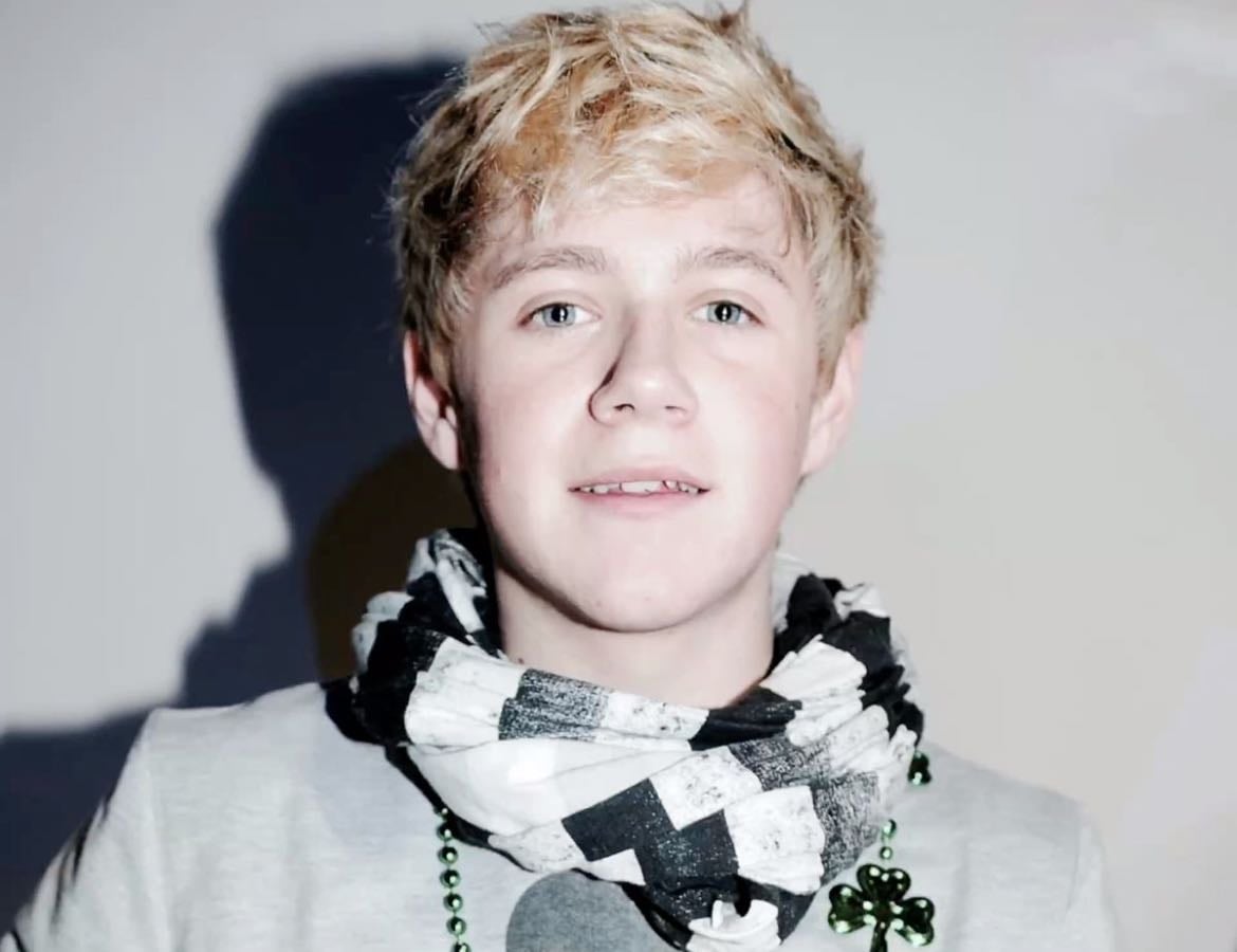 fav niall eras!! - other hypelist by bella horan!!πͺ©ππ