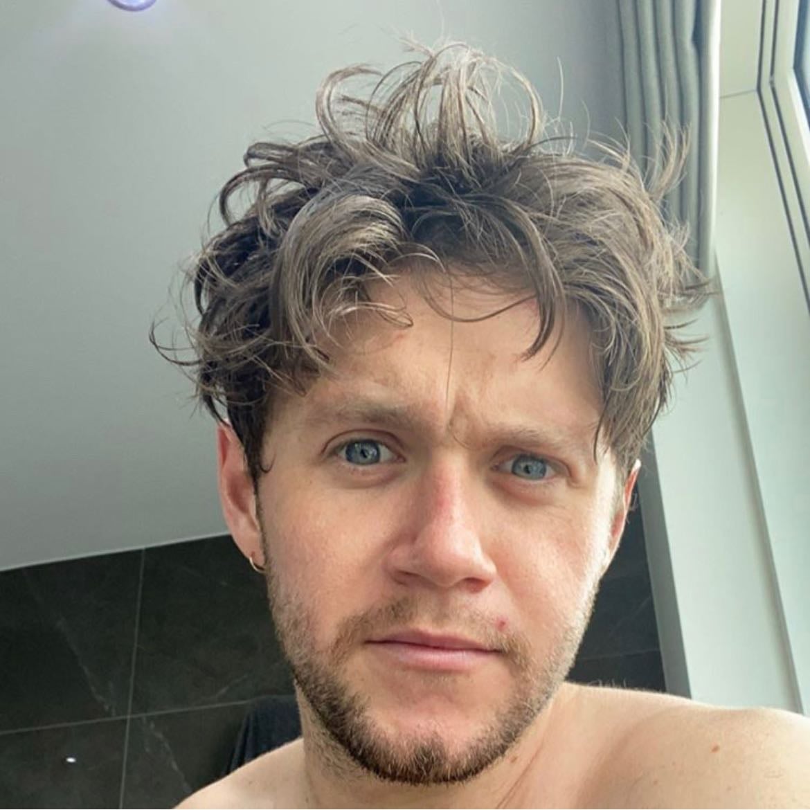 quarantine niall - I adore quarantine niall