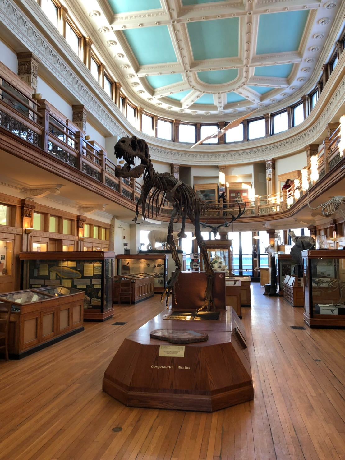 Redpath Museum