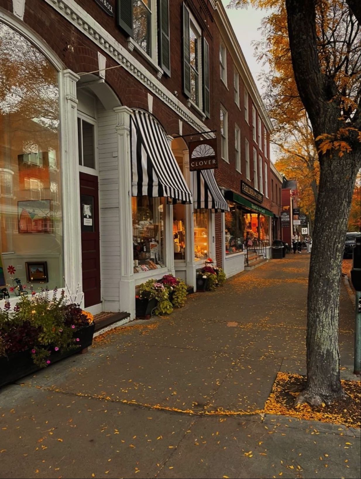 Visit a small city (living the stars hollow fantasy)