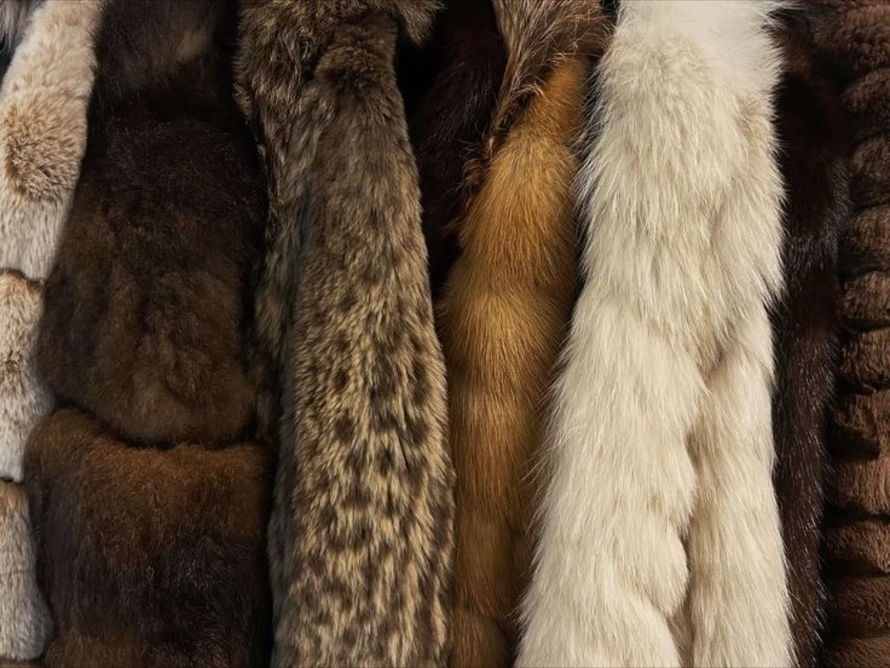 fur coats - especially a leopard fur coat !!