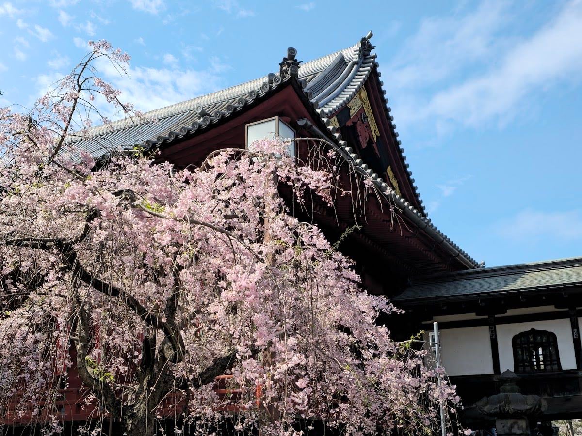Ueno Park