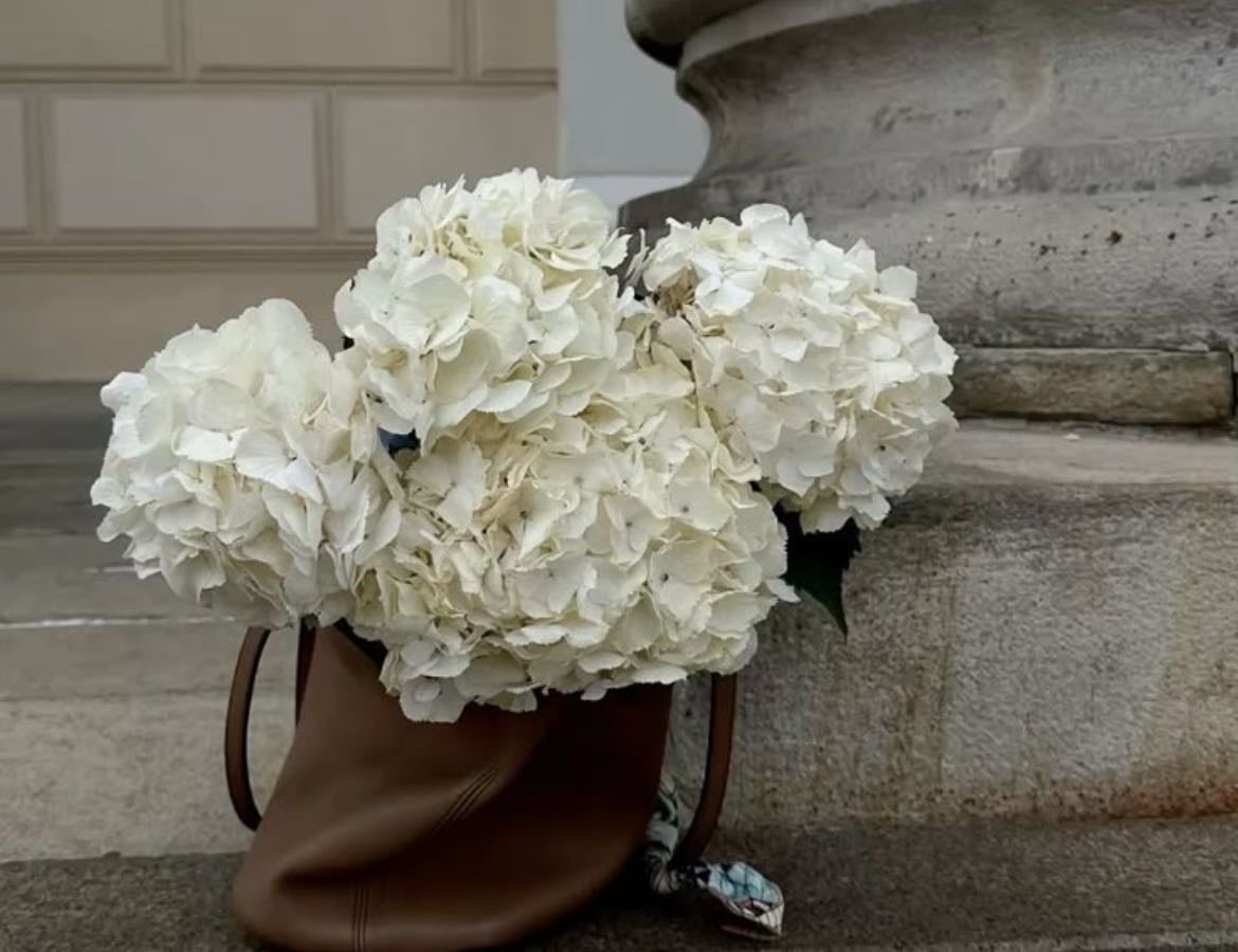 Favorite Flowers - other hypelist by Alma Escalante