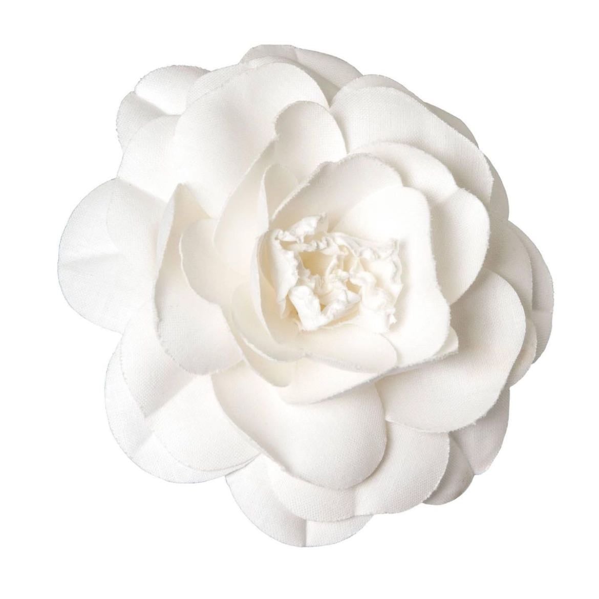 Camelia - Simbólica, amor, admiración y perfección.