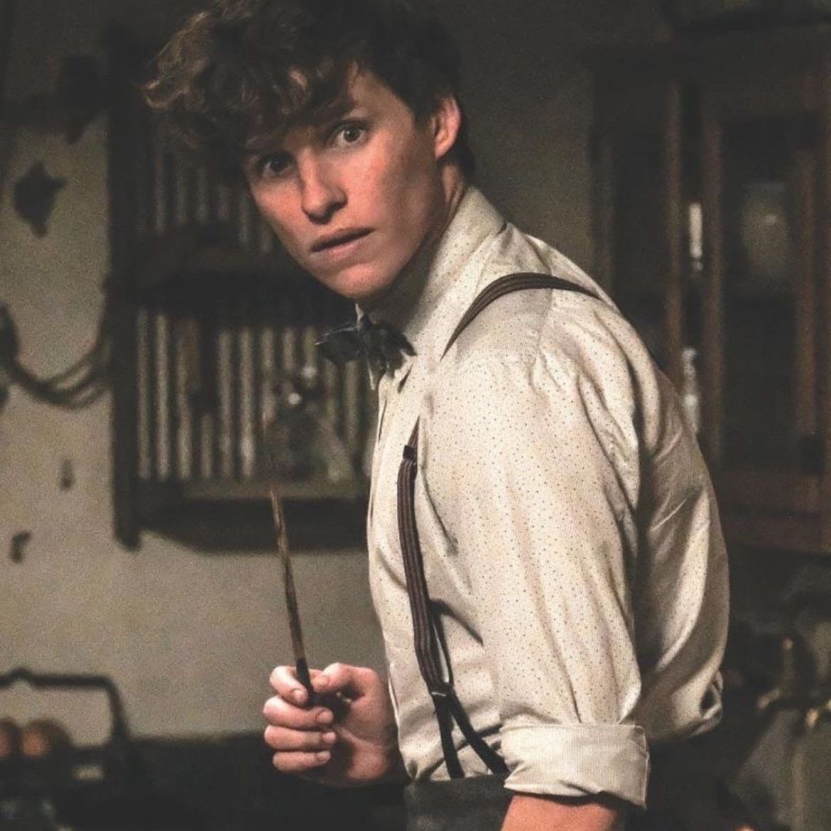 Fantastic Beasts