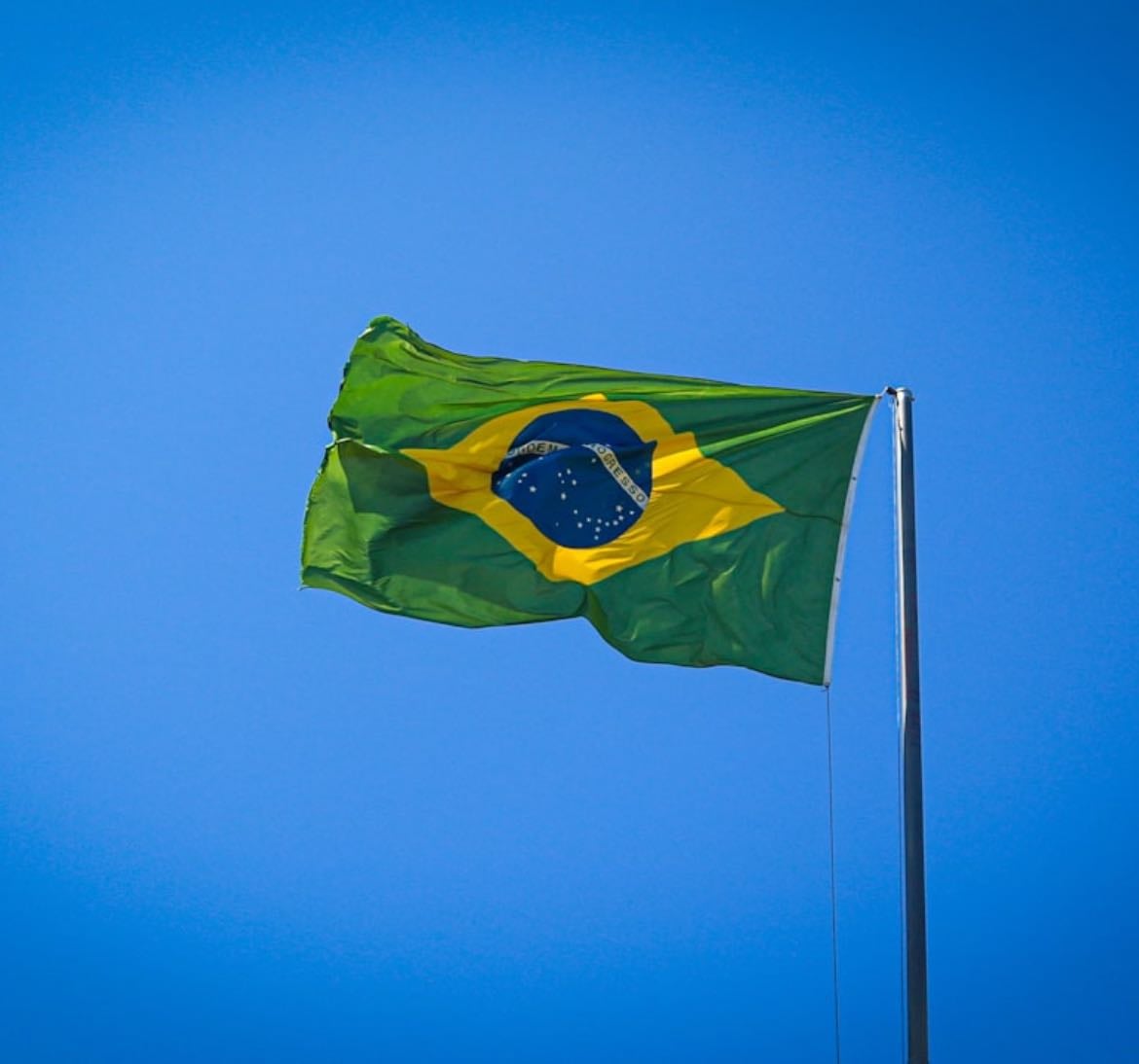Filmes brasileiros