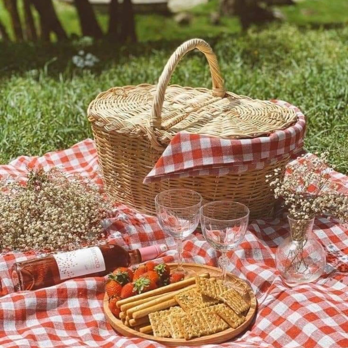 Canasta para picnic