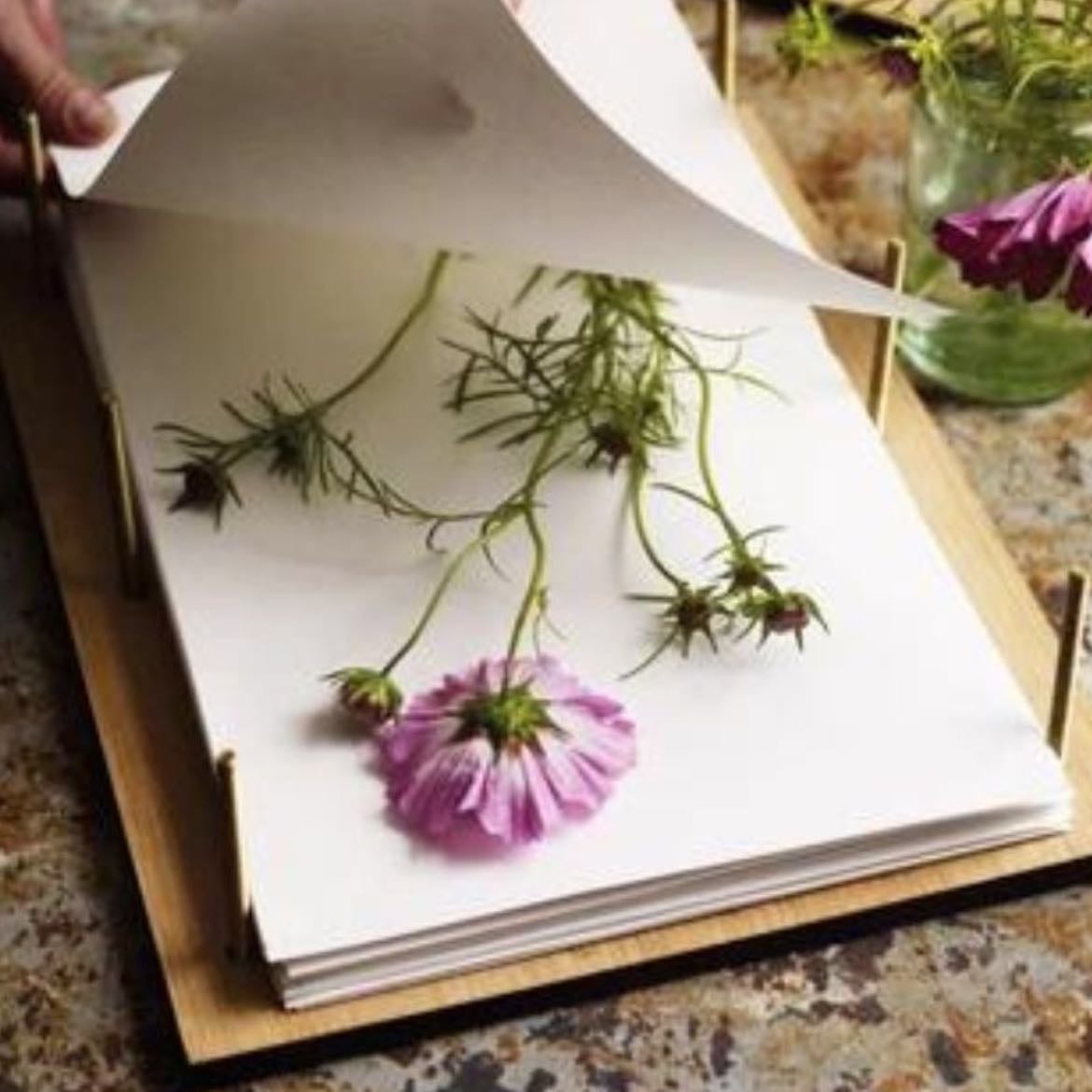 Prensa floral