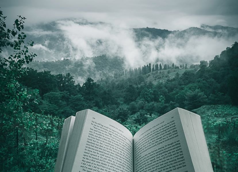 Book