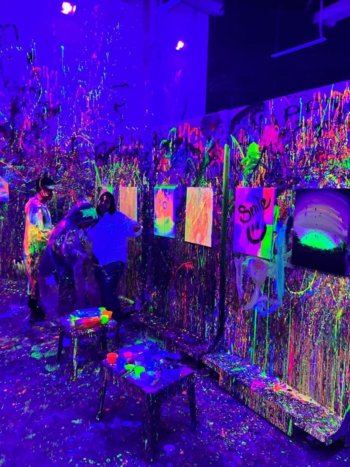 Wild Paint House