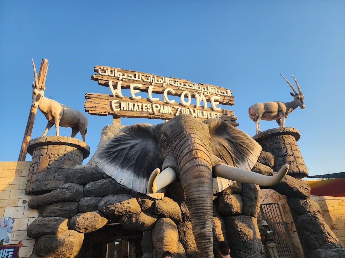 Emirates Park Zoo and Resort - breakfast with giraffes