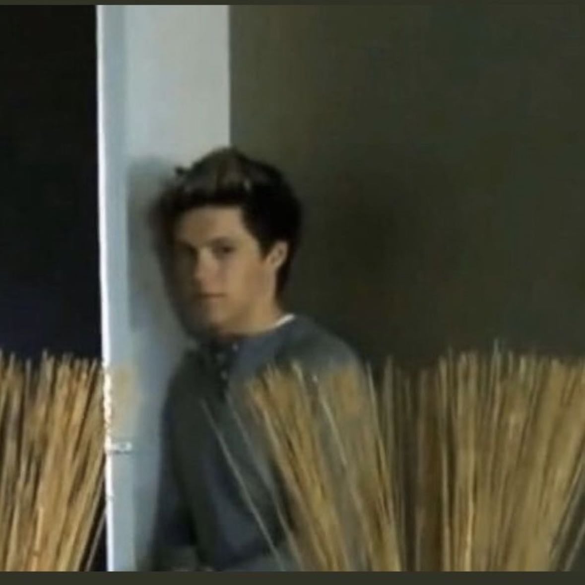 Meet one of the boys! - (Let’s be real not happening)