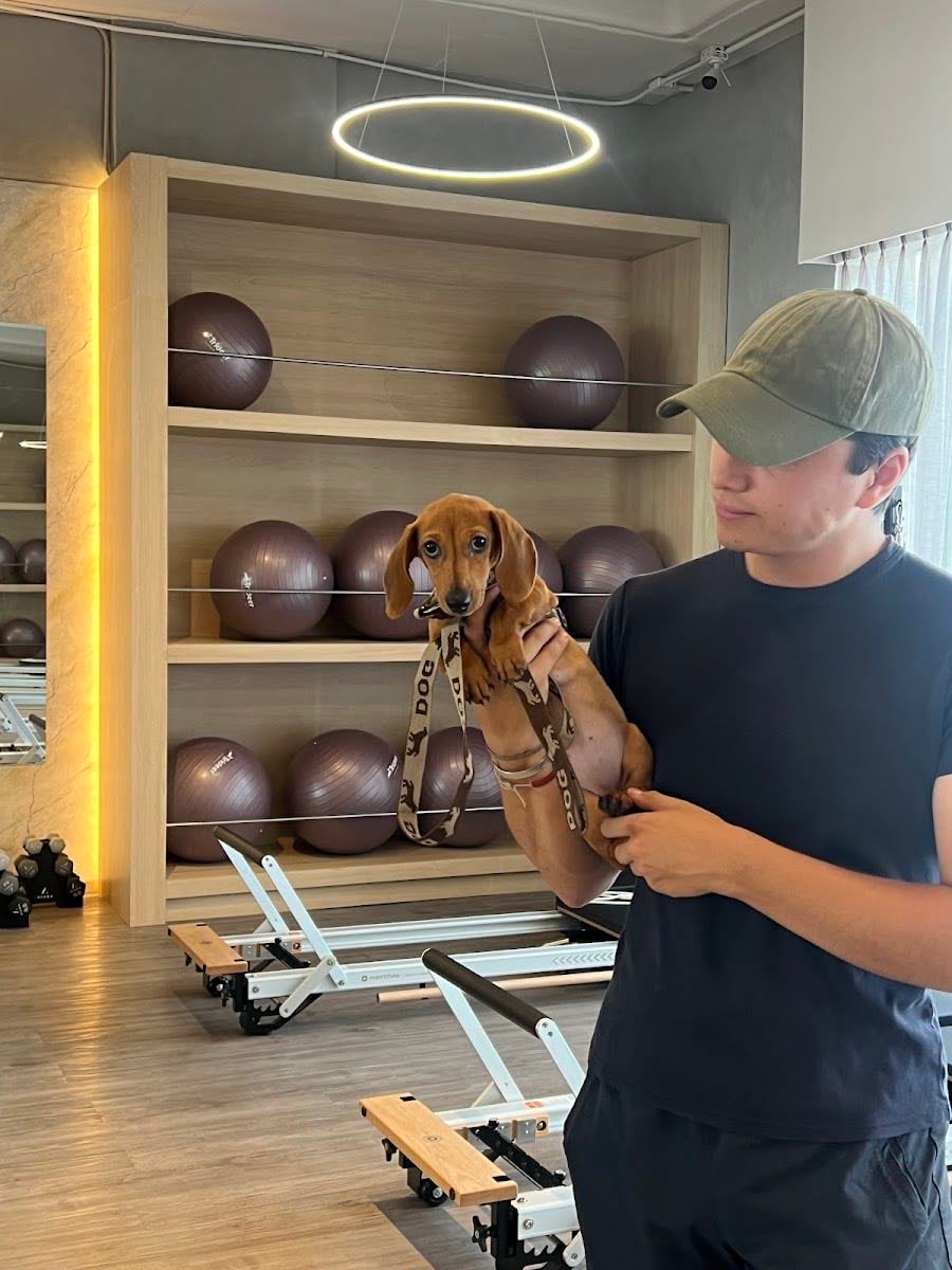 FORM Pilates Studio - Pilates