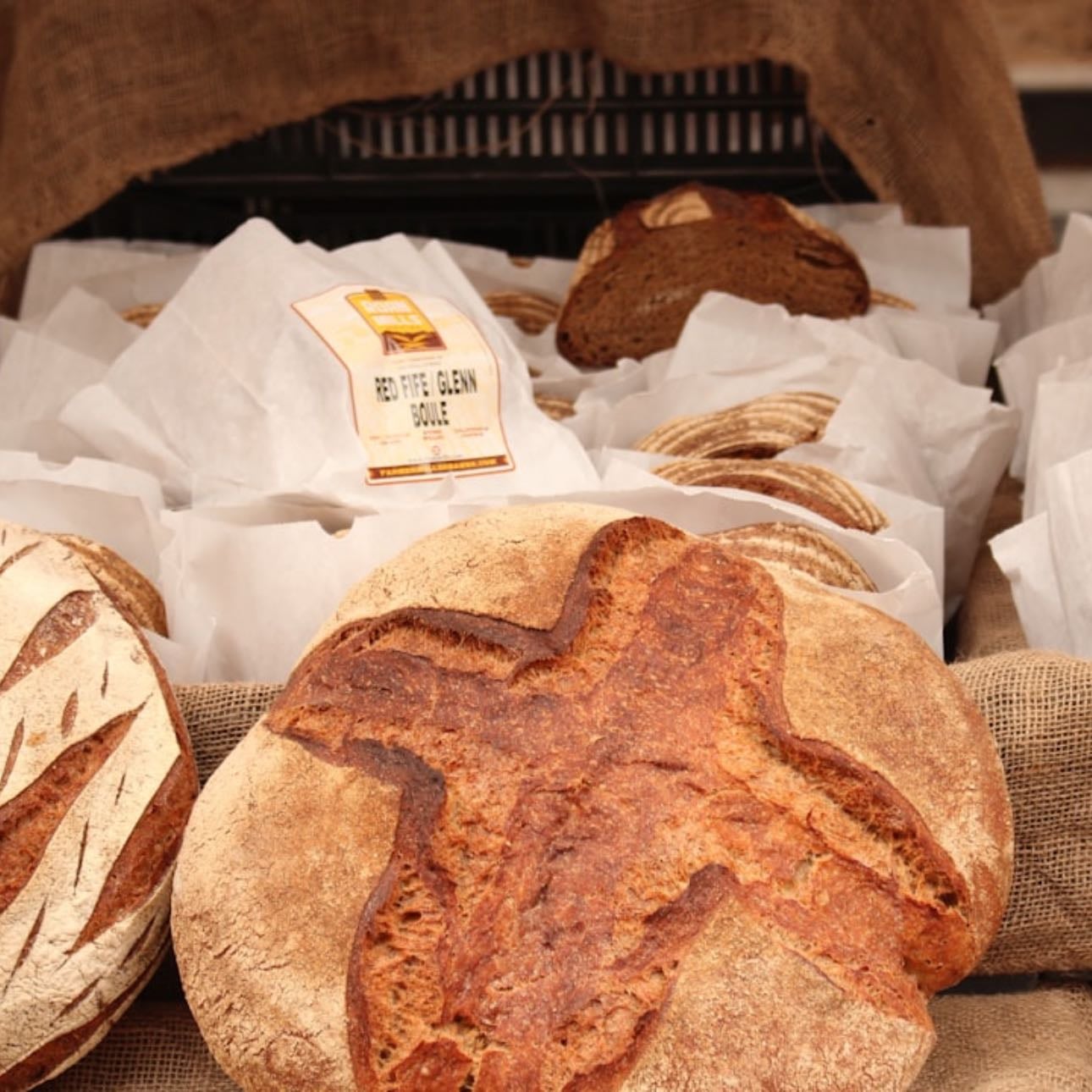 bakery - tienen pan de teff que amo super rico y lowkey todos sus panes son top!!