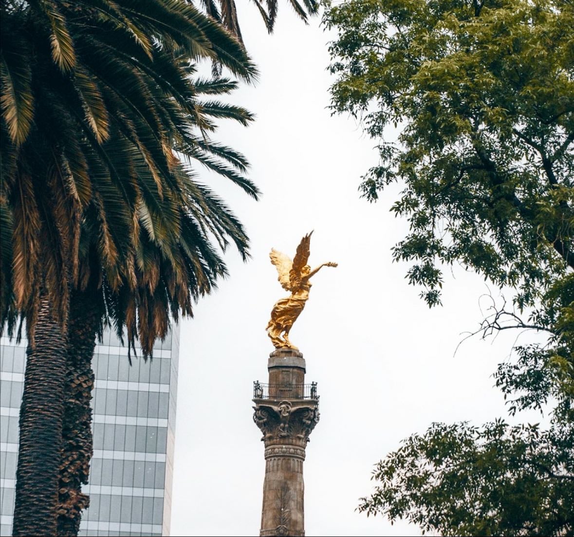 CDMX Rooftops