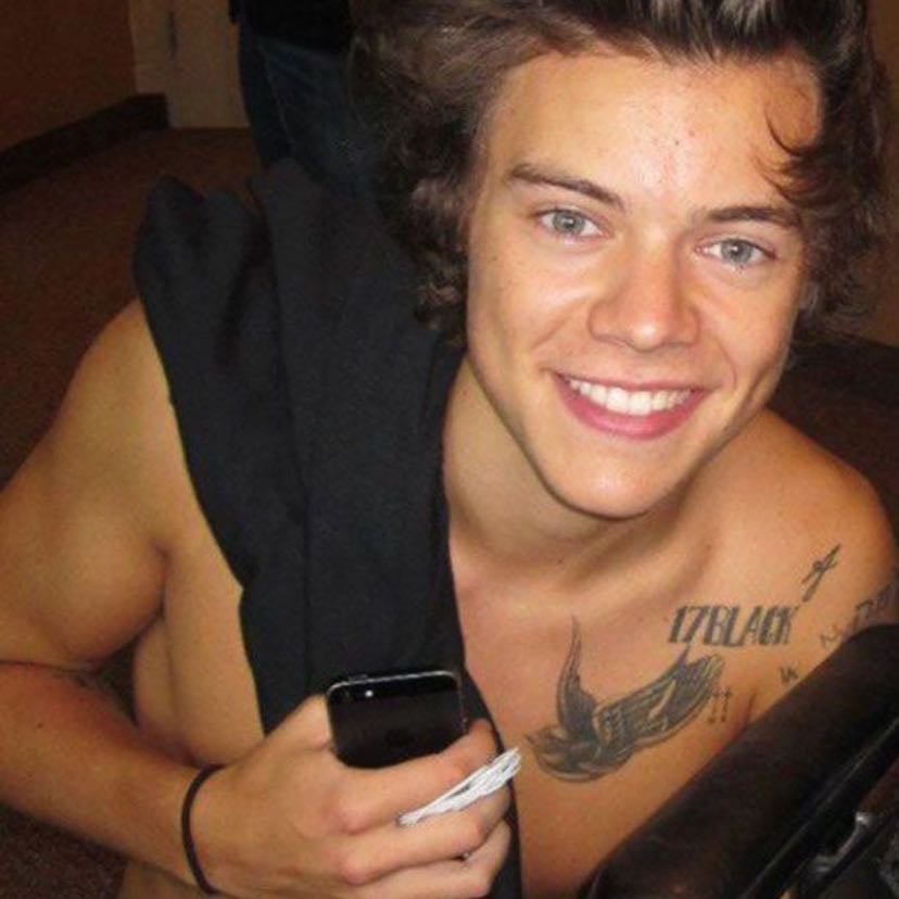 frat boy harryšš¼ - ik heās nice either way, he looks after everyone heās so cuteš„¹