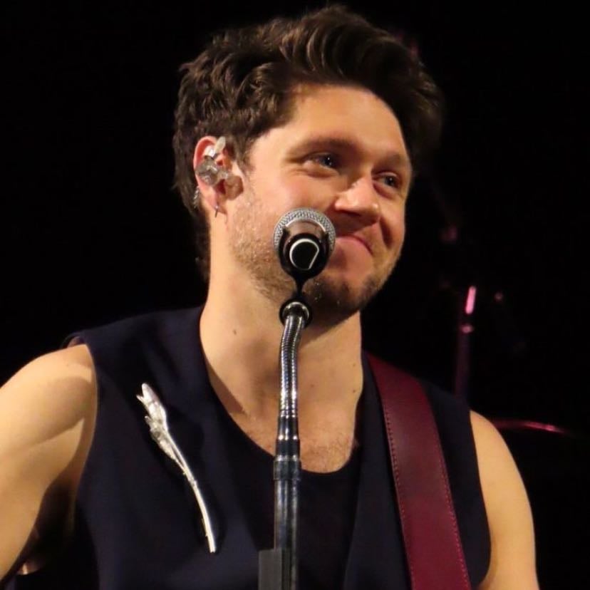 niall in a concert - stop look how cute he isš„¹