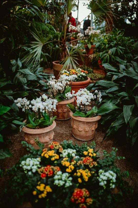 57. Probar la jardinería.