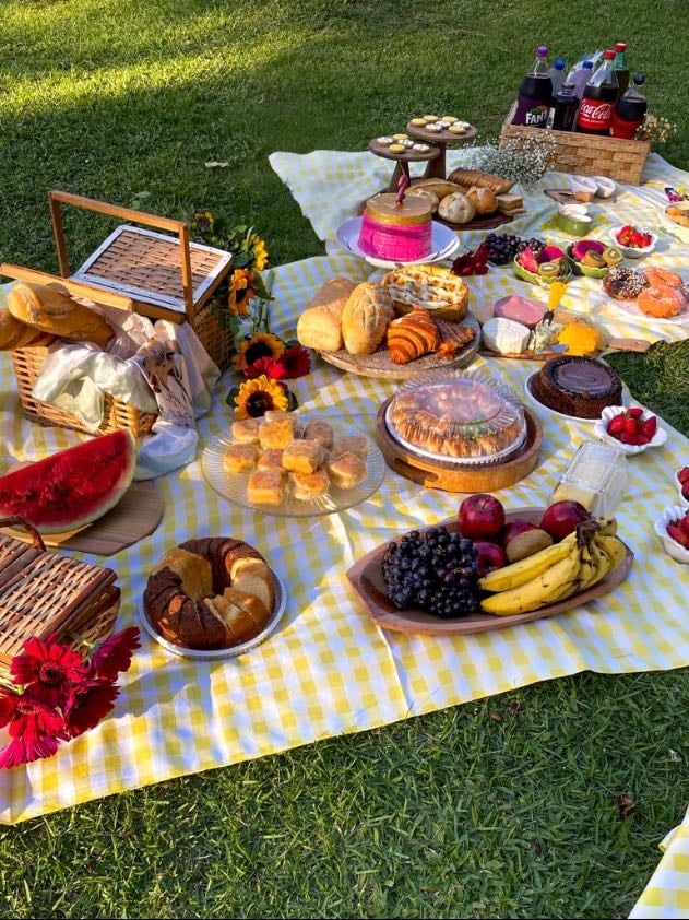 33. Hacer un picnic.