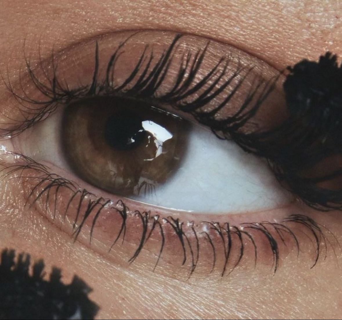 Lash - Products hypelist by lu💋