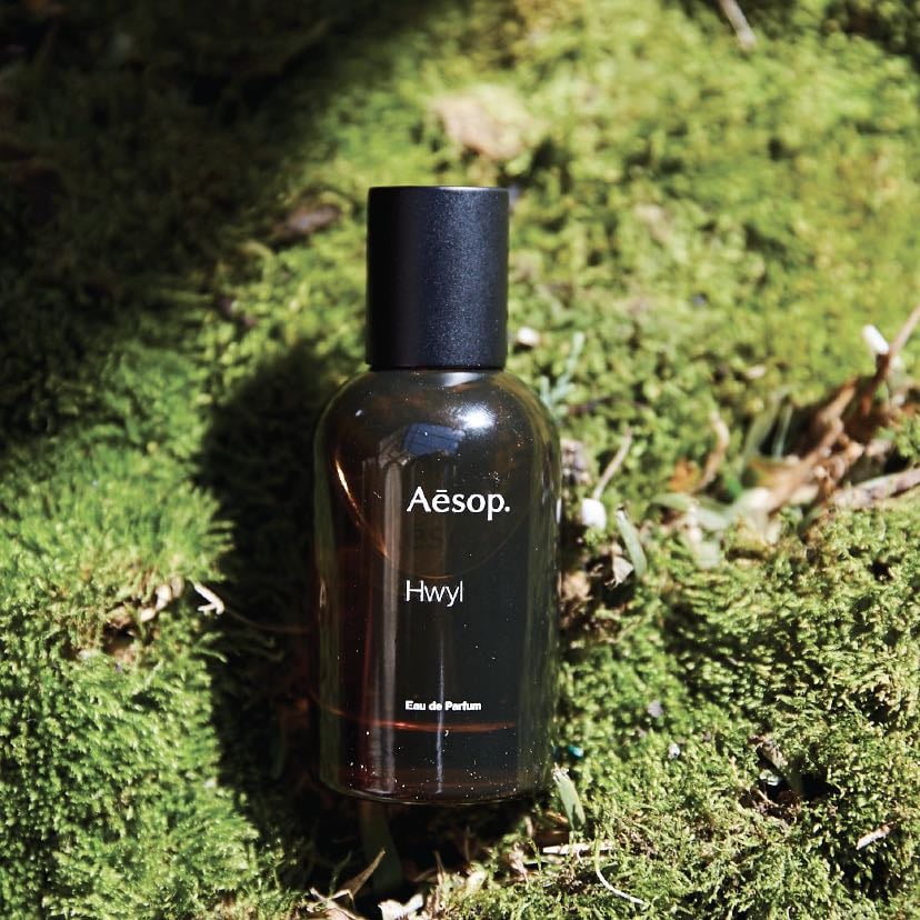 Hwyl - Aesop