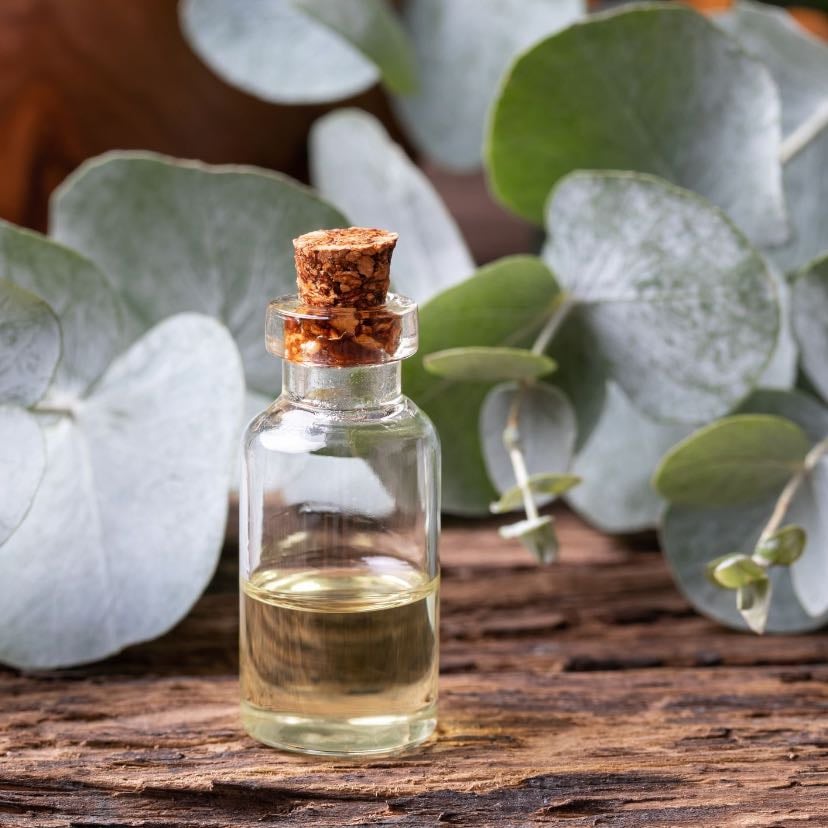 eucalyptus essential oil - for shower aromatherapy